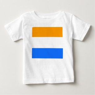 Prins vlag