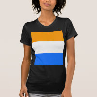 Prins vlag