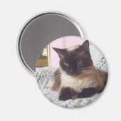 Prinses op de bank magneet (Voorkant / Achterkant)