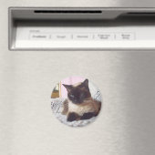 Prinses op de bank magneet (Insitu (Vaatwasser))