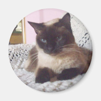 Prinses op de bank magneet