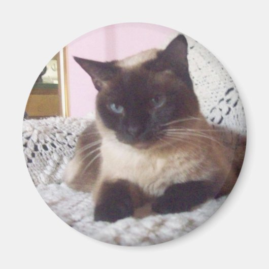 Prinses op de bank magneet (Voorkant)