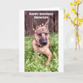 Prinses Verjaardag Kaart met Belgische Malinois (Gele Bloem)