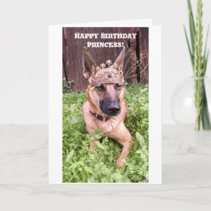 Prinses Verjaardag Kaart met Belgische Malinois