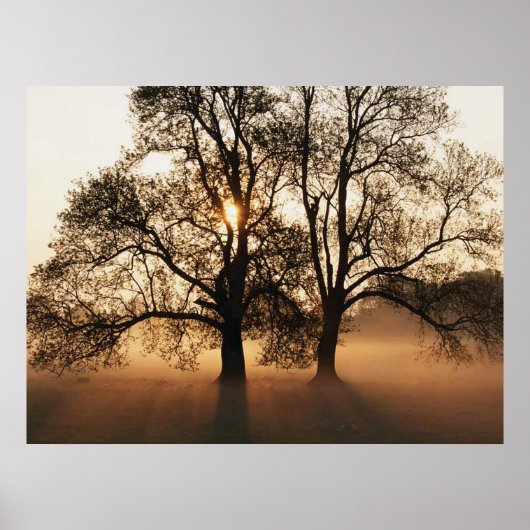 PRINT - 2 Big Trees Sepia Gold (Voorkant)