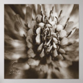 Print, Value Poster Paper (Matte) (Devant)