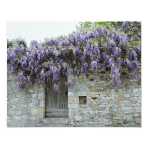 PRINT - Wisteria Viviers Frankrijk Foto Afdruk