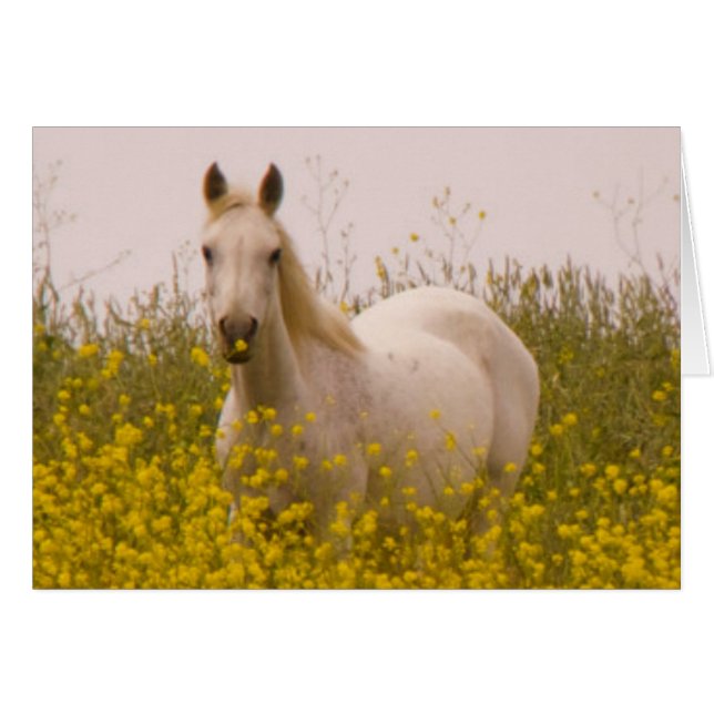 Printemps (Devant horizontal)