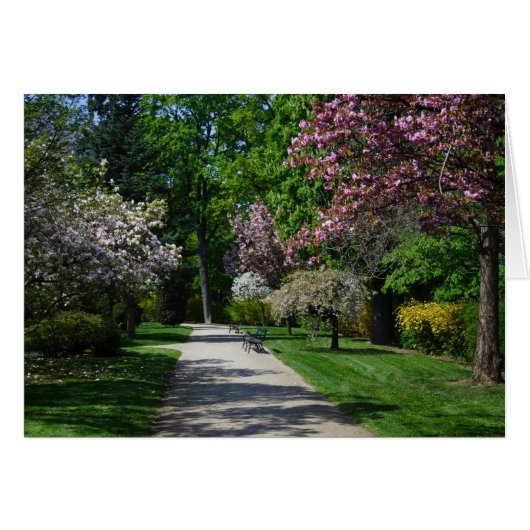 Printemps (Devant horizontal)