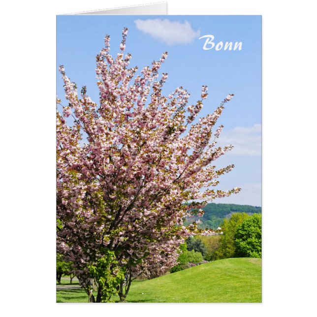 Printemps à Bonn (Devant)