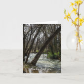 Printemps À Finley River Penser À Votre Carte (Fleur jaune)