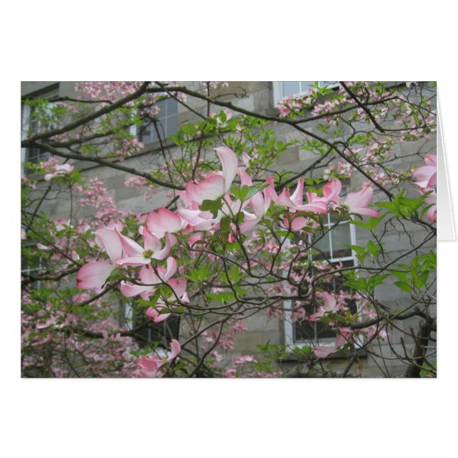 Printemps au Swarthmore College (Devant horizontal)