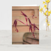 Printemps avec carte de voeux Feuilles Maples (Fleur jaune)