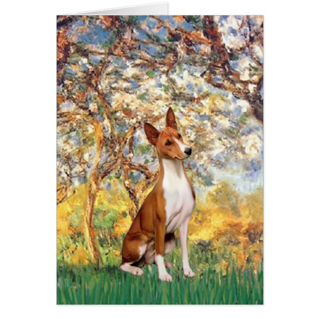 Printemps - Basenji (Devant)