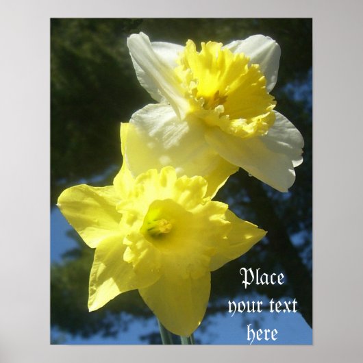 Printemps belle jonquilles personnalisable poster (Devant)