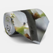 Printemps, Blossoms blancs Cravate photo (Roulé)