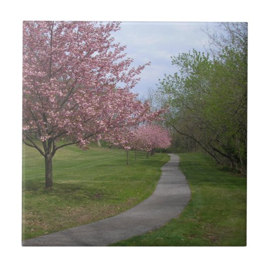 Printemps ! Carreaux de céramique (Devant)
