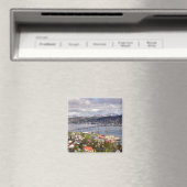 Printemps dans le Magnet du Nord (In Situ (Lave-vaisselle))