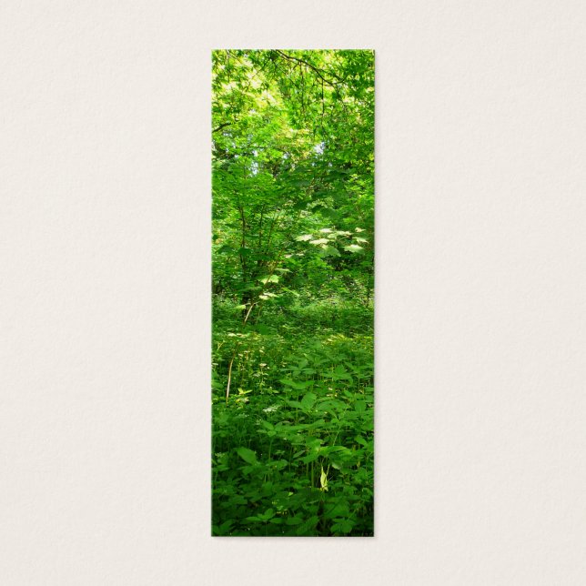 Printemps dans le Signet des bois (Devant)