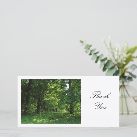 Printemps dans les bois 01 - Merci (Debout devant)