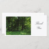 Printemps dans les bois 02 - Merci (Devant / Derrière)