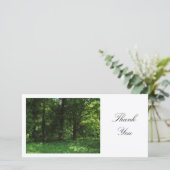 Printemps dans les bois 02 - Merci (Debout devant)