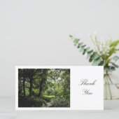 Printemps dans les bois 03 - Merci (Debout devant)