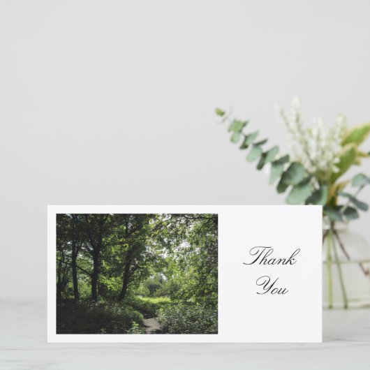 Printemps dans les bois 03 - Merci (Debout devant)