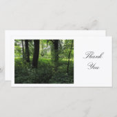 Printemps dans les bois 04 - Merci (Devant / Derrière)