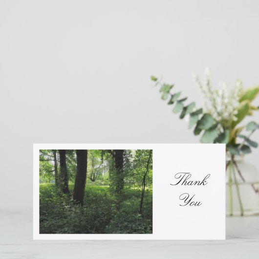 Printemps dans les bois 04 - Merci (Debout devant)