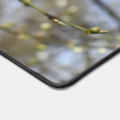 Printemps éveil, carte de fleurs de cerisier sauva (Coin)