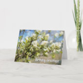 Printemps Fleurs Fleurs Fleurs Fleurs Fleurs Carte (Devant)