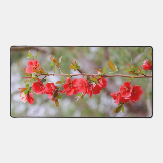 Printemps florissant (Recto)