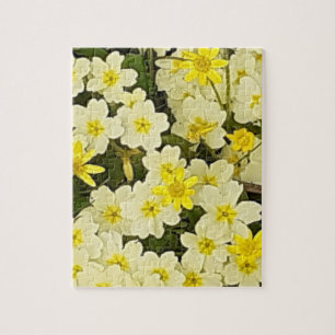 Printemps Primroses Jigsaw Puzzle