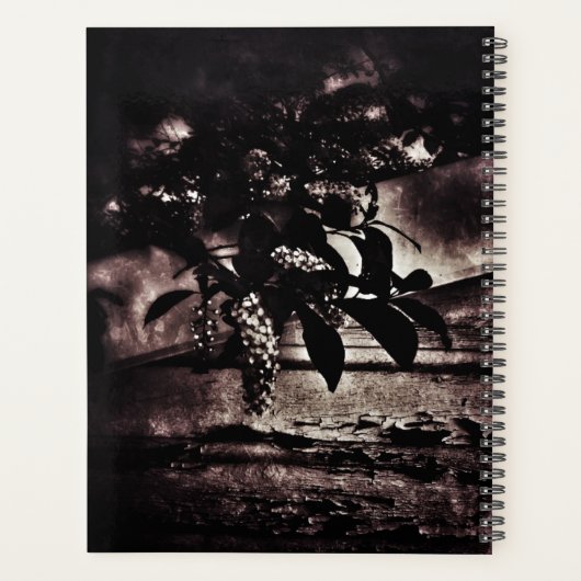 Printemps sombre (Dos)