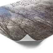 Prints en Posters: Sneeuwbomen (Hoek)