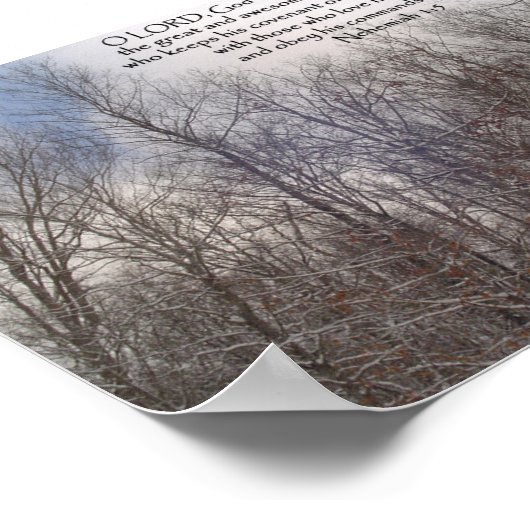 Prints en Posters: Sneeuwbomen (Hoek)