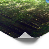 Prints en Posters: Weg door het bos (Hoek)