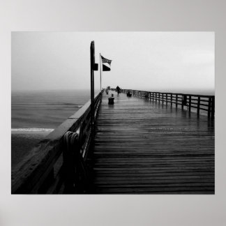 Prints van de Beetfoto van Flagler Beach