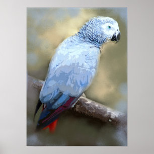 Prints voor de fijnkunst van Afrikaanse grijze pap