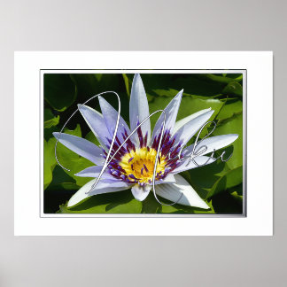 Prints voor de Folie van gele en Paarse Folie