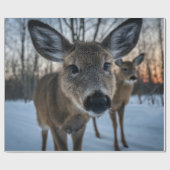 PRIORITAIR SUNSET MET WILD-LEVEN CADEAUPAPIER (Vlak)