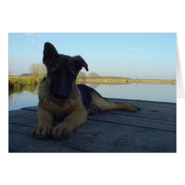 Prise (Devant horizontal)