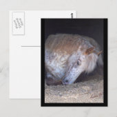 Prise de carte postale facile (Devant / Derrière)