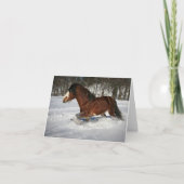 Prise de lui dans des cartes de note de pas (Devant)