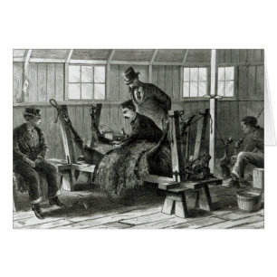 Prise du virus du veau