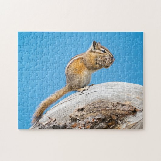 Prise en charge pour le puzzle d'hiver (Horizontal)