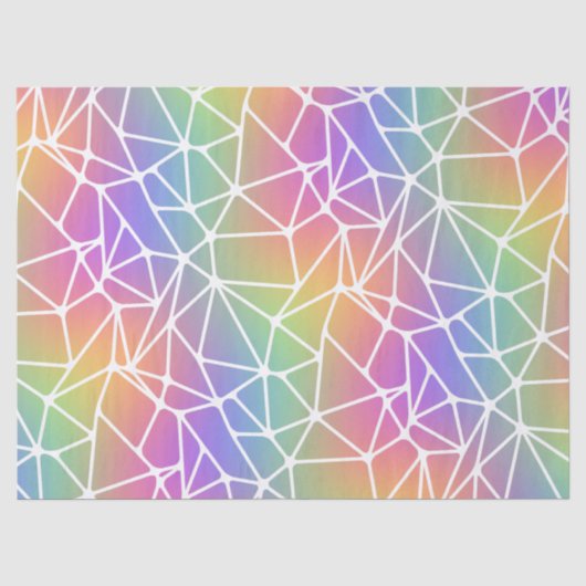 prisma synapsnet-regenboogweb: tissuepapier (Voorkant)