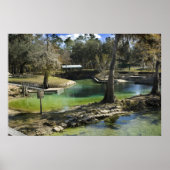 Pristine Spring in Winter Print (Voorkant)