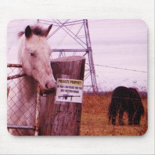 Private Property lavender Horse Muismat